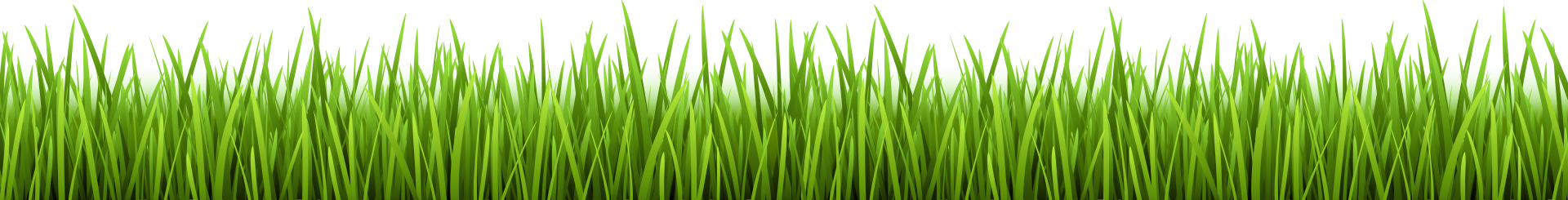 grass